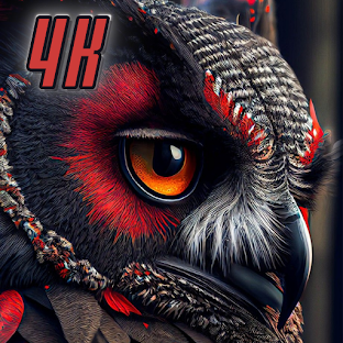 HD Wallpaper 4k Background